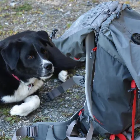 Haus Schwaighofer * Neukirchen am Großvenediger
