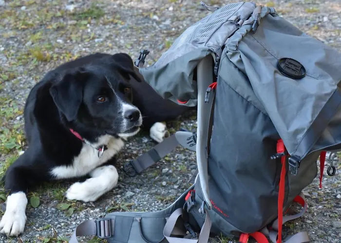 Haus Schwaighofer * Neukirchen am Großvenediger